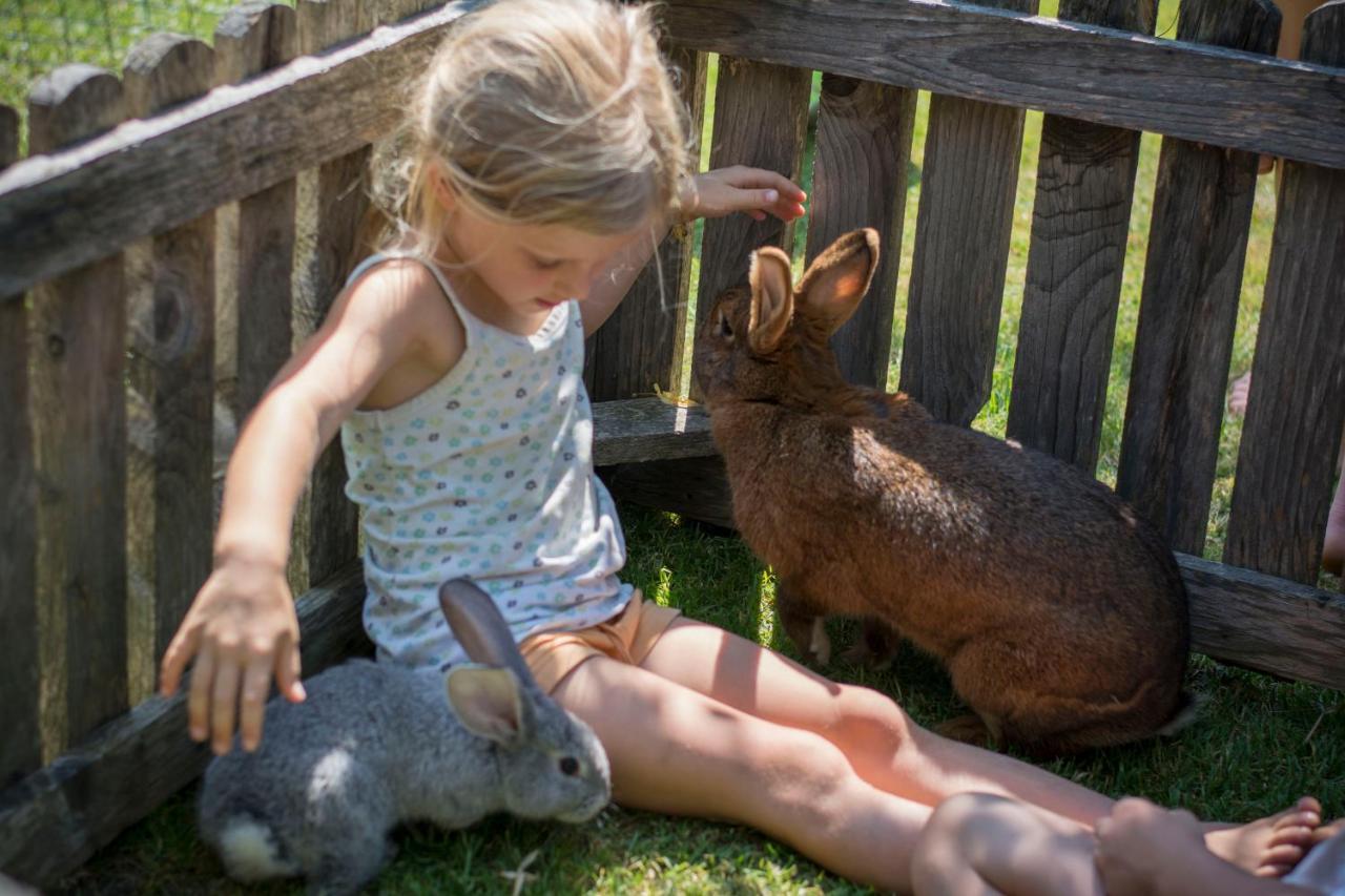Vorderkasbichlhof Farm stay