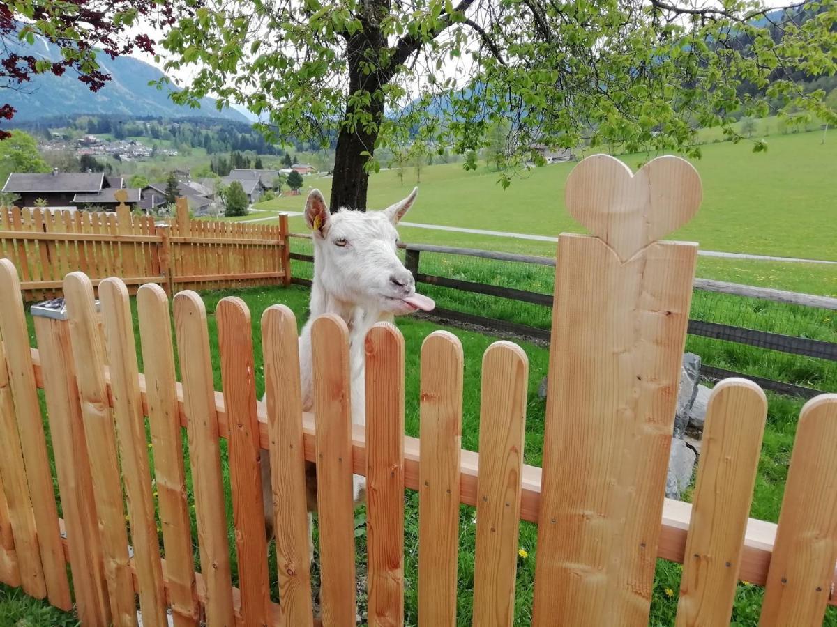 Vorderkasbichlhof Farm stay